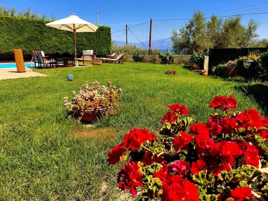 Platanos Estate Villa Akráta Buitenkant foto